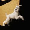 Milou est une star à part entière des Aventures de Tintin : le Secret de la Licorne