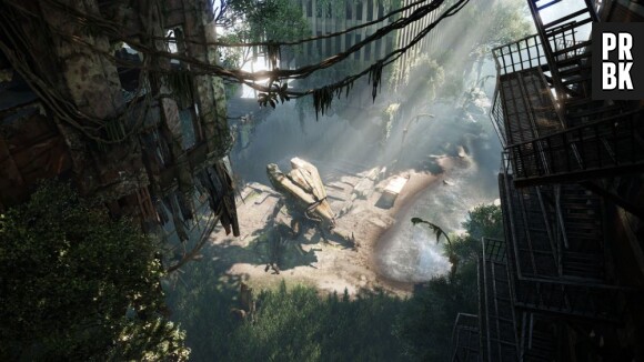 Crysis 3 et ses graphismes incroyables