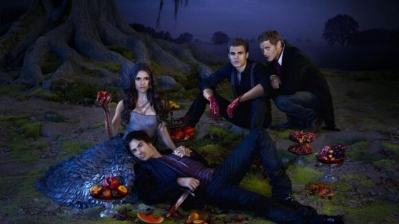 Vampire Diaries saison 3 : un vampire à terre et un gros imprévu ! (SPOILER)