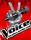 Qui sera The Voice ? Réponse la semaine prochaine !