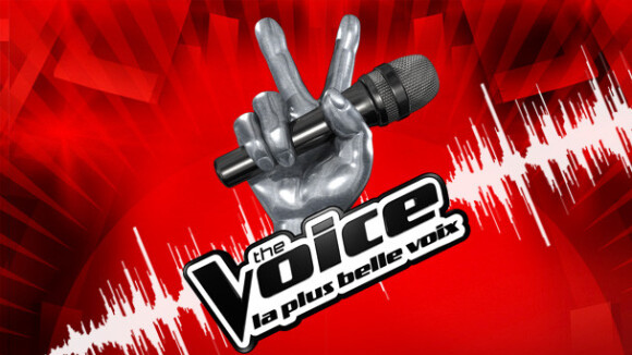 The Voice : La finale devrait se jouer entre Al.Hy et Louis !