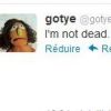 Gotye n'est pas mort !