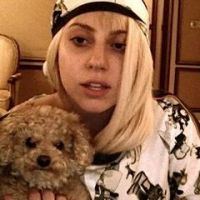 Lady Gaga : Elle écrit une lettre à ses fans