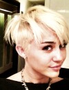Miley Cyrus pourrait devenir une criminelle... à la télé