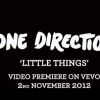 Le clip de Little Things sera dispo dans 2 jours !