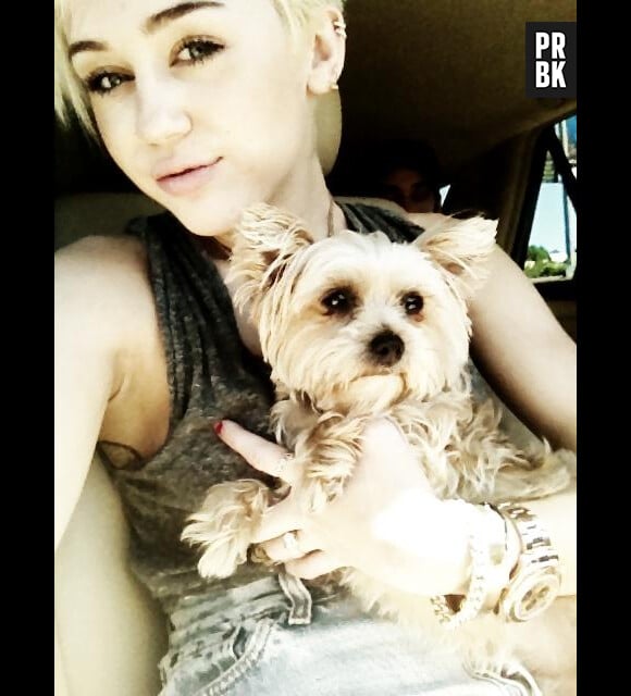 Miley Cyrus est déprimée par la mort de sa chienne