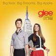 Glee saison 5 : Adam Lambert à New York ?