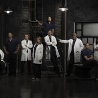Grey&#039;s Anatomy saison 10 : deux nouveaux acteurs pour un accident (SPOILER)