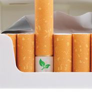 Tabac : la cigarette bientôt bannie des lieux publics en plein air ?