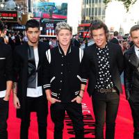 One Direction : hystérie et trac sur le tapis rouge de This Is Us