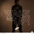 Avicii : 'Wake Me Up', l'un des tubes de 2013