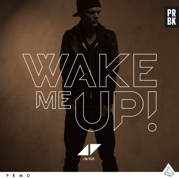 Avicii : 'Wake Me Up', l'un des tubes de 2013
