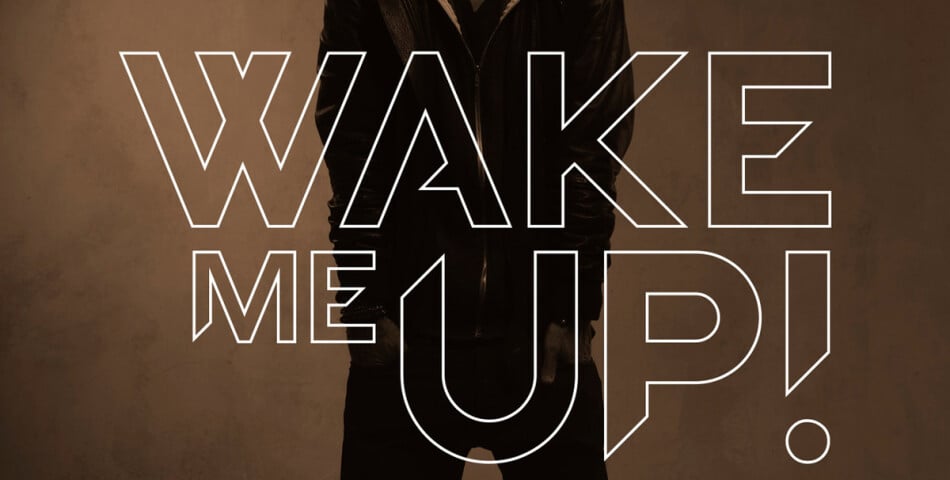 Avicii : &#039;Wake Me Up&#039;, l&#039;un des tubes de 2013