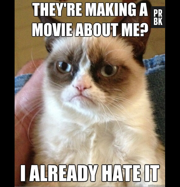 Grumpy Cat n'est pas pressé de voir son film