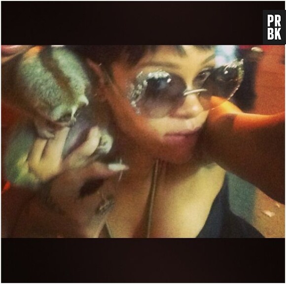 Rihanna s'exhibe avec un Loris lent en Thaïlande, au mois de septembre 2013