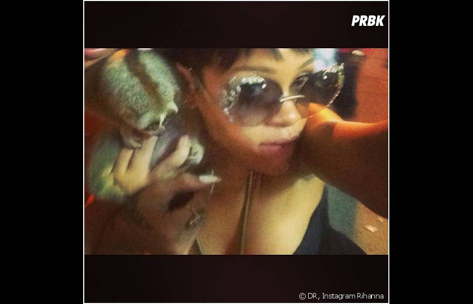 Rihanna s&#039;exhibe avec un Loris lent en Thaïlande, au mois de septembre 2013