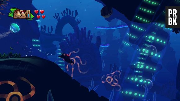 Donkey Kong Country Tropical Freeze sort en février 2014 sur Wii U