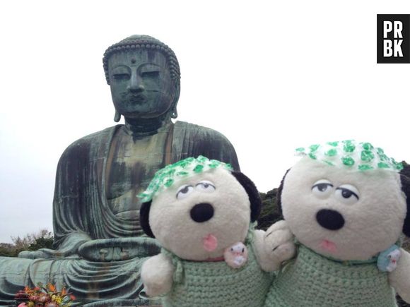 Au Japon, une agence de voyage emmène des peluches en vacances