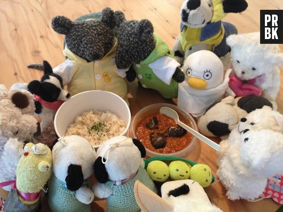 Au Japon, une agence de voyage emmène des peluches en vacances