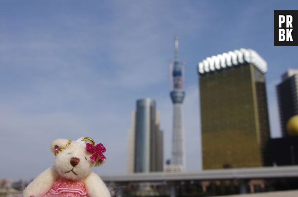 Au Japon, une agence de voyage emmène des peluches en vacances