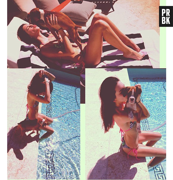 Kendall Jenner future star du X ?