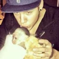 Justin Bieber cruel ? Son singe toujours retenu en Allemagne, il refuse de payer