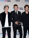 American Music Awards 2013 : One Direction gagnants
