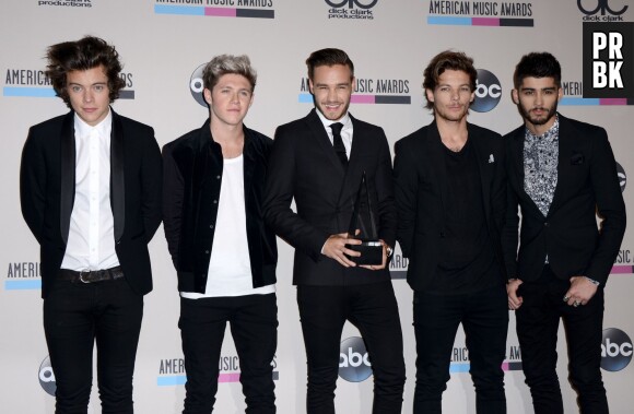 American Music Awards 2013 : One Direction gagnants