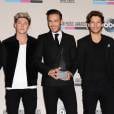 American Music Awards 2013 : deux prix pour One Direction