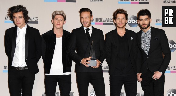 American Music Awards 2013 : deux prix pour One Direction