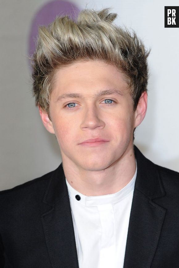 Niall Horan veut trouver une copine normale