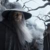 The Hobbit 2 : la Désolation de Smaug - Gandalf en danger