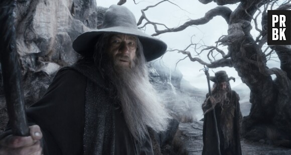 The Hobbit 2 : la Désolation de Smaug - Gandalf en danger