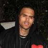 Chris Brown a visiblement passé Thanksgiving avec Karrueche Tran