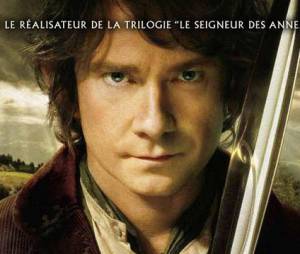 Le Hobbit, un voyage inattendu : film le plus piraté en 2013