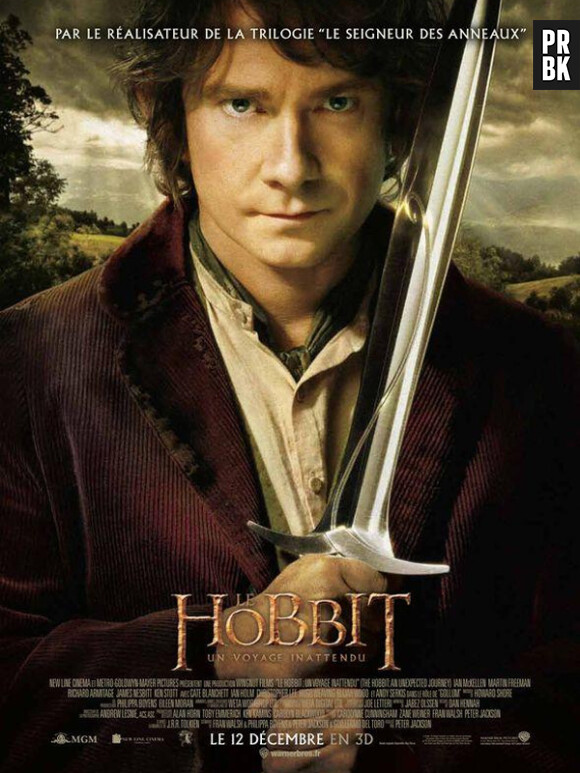 Le Hobbit, un voyage inattendu : film le plus piraté en 2013