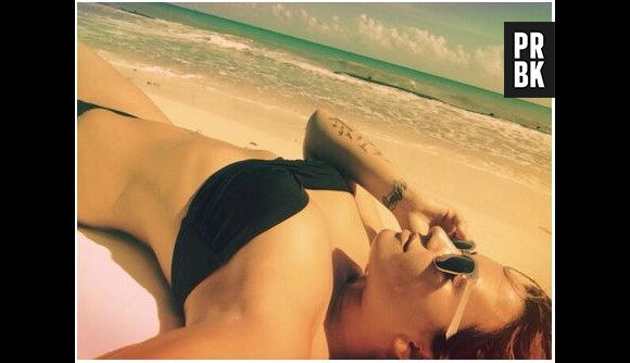 Demi Lovato en bikini sur Twitter, le 15 janvier 2014