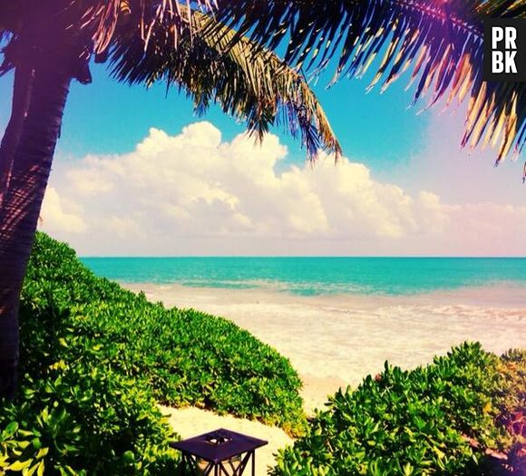 Demi Lovato : vacances au soleil en janvier 2014