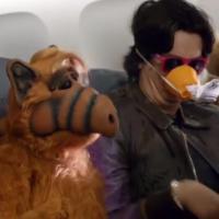 [VIDEO] Alf est de retour pour nous apprendre à survivre à un crash d'avion