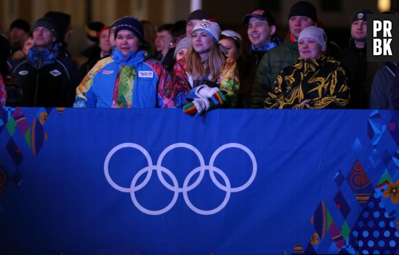 Sotchi 2014 : la cérémonie d'ouverture a donné le coup d'envoi des Jeux Olympiques d'Hiver le 7 février 2014