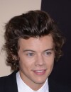 Harry Styles et ses potes des One Direction stars d'une télé-réalité ?