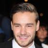 One Direction : Liam Payne pourrait prochainement être la star d'une émission de télé-réalité