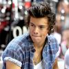 One Direction : Harry Styles pourrait prochainement être la star d'une émission de télé-réalité