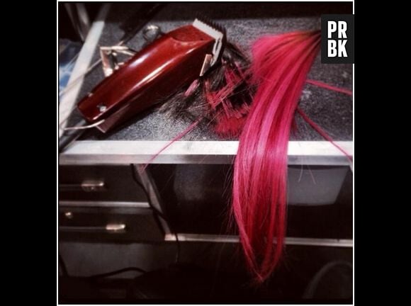 Demi Lovato poste une photo de ses mèches roses rasées, le 4 mars 2014 sur Twitter