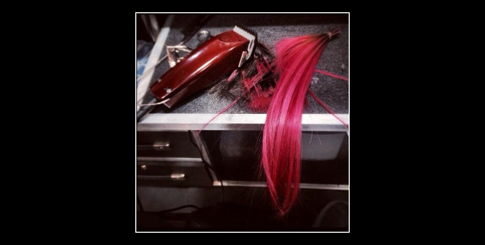 Demi Lovato poste une photo de ses mèches roses rasées, le 4 mars 2014 sur Twitter