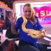 TPMP : Elodie Gossuin a la phobie des serpents