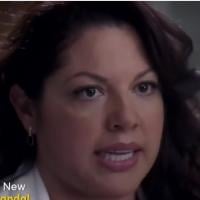 Grey&#039;s Anatomy saison 10, épisode 15 : tensions en vue pour Callie et Arizona