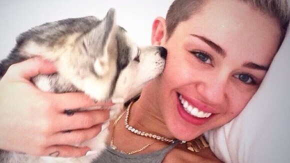 Miley Cyrus fond en larmes en concert... à cause de son chien