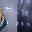 Shakira (sans culotte) VS Taylor Swift : qui était la plus sexy aux CMA 2014 ?