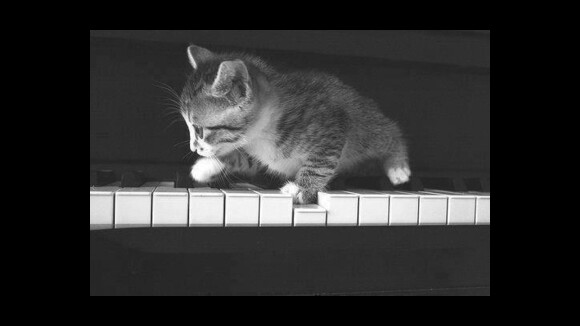 Clean Bandit, Lea Michele, Zayra, Papercuts... #Playlist #44